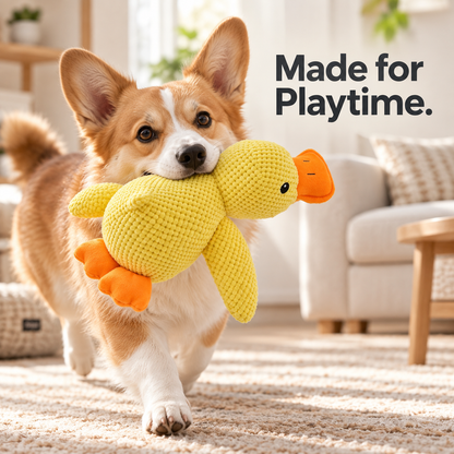 Duck Dog Toy