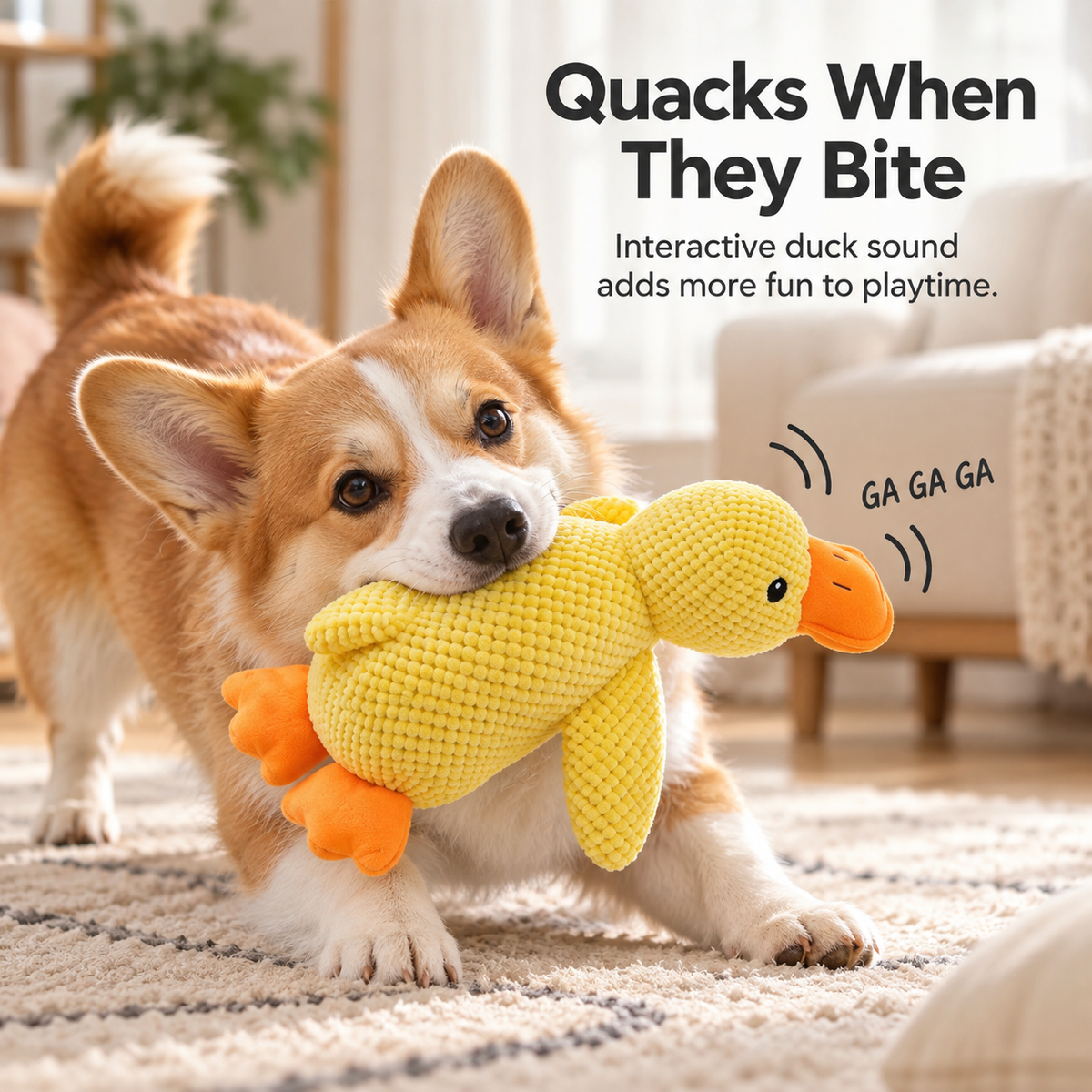 Duck Dog Toy