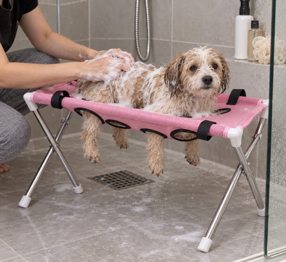 Elevated Pet Grooming & Bathing Stand